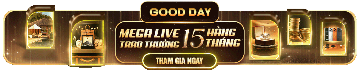 Banner Live